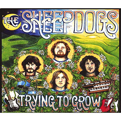 Álbum = “The Sheepdogs – Trying to Grow”