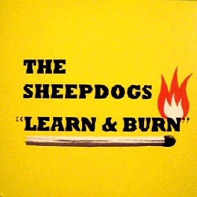 Novo Álbum = “The Sheepdogs – Learn & Burn”