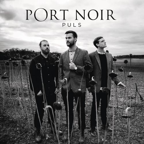 Novo Álbum = “Port Noir – Puls”