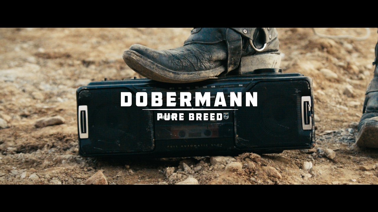 Novo Clip = “Dobermann – Pure Breed”