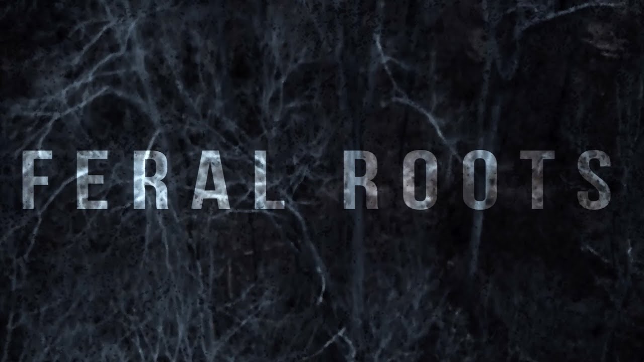 Nova Música = “Rival Sons – Feral Roots”