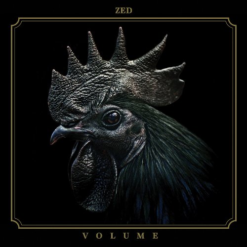 Novo Álbum = “Zed – Volume”