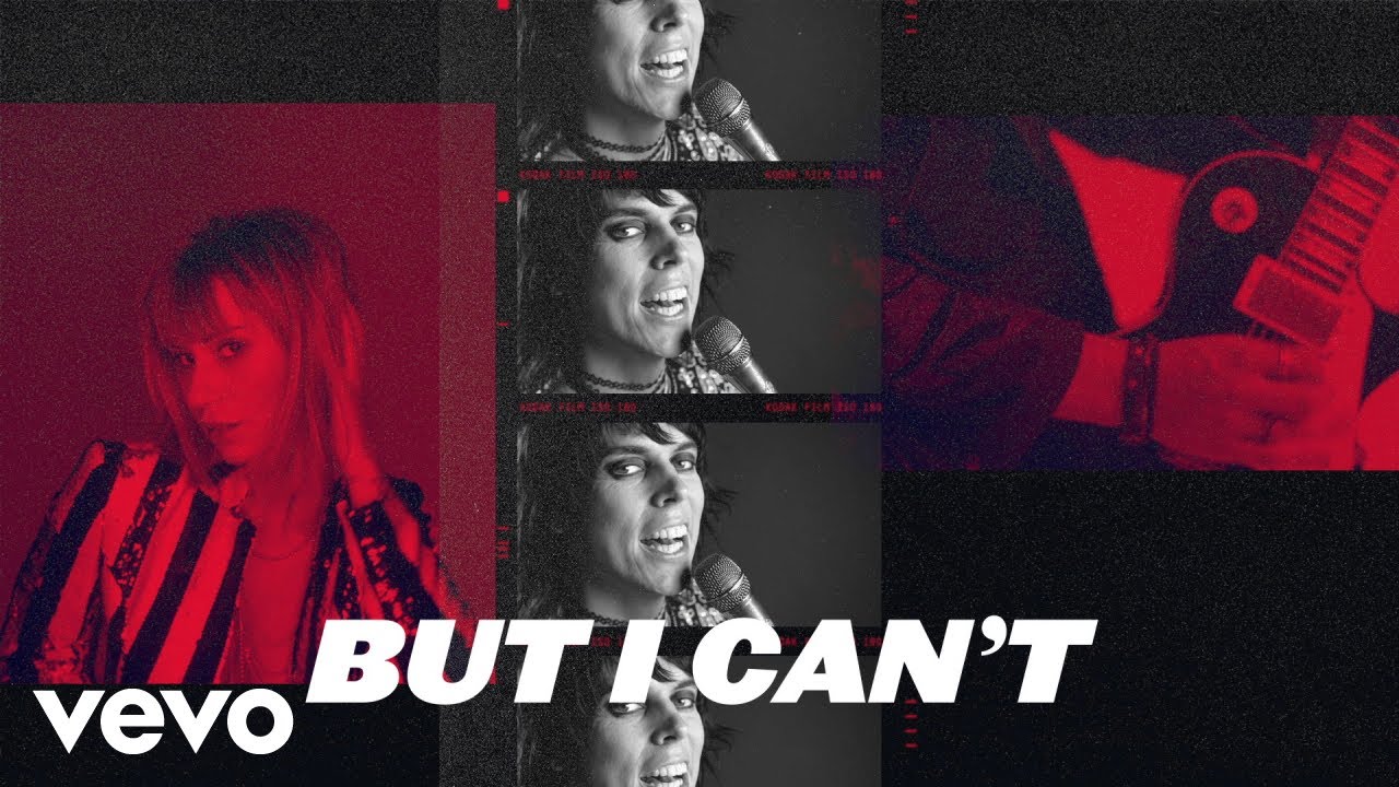 Novo Clip = “The Struts – In Love With A Camera”